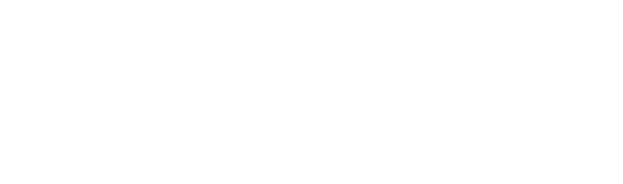 Alegria.group