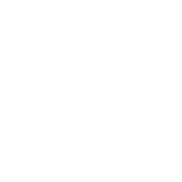 Checksub